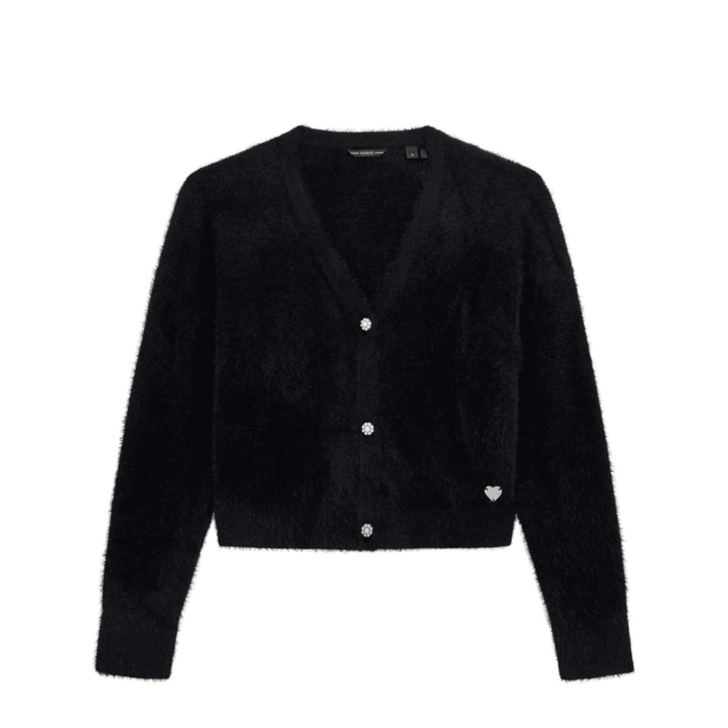 CARDIGAN GUESS