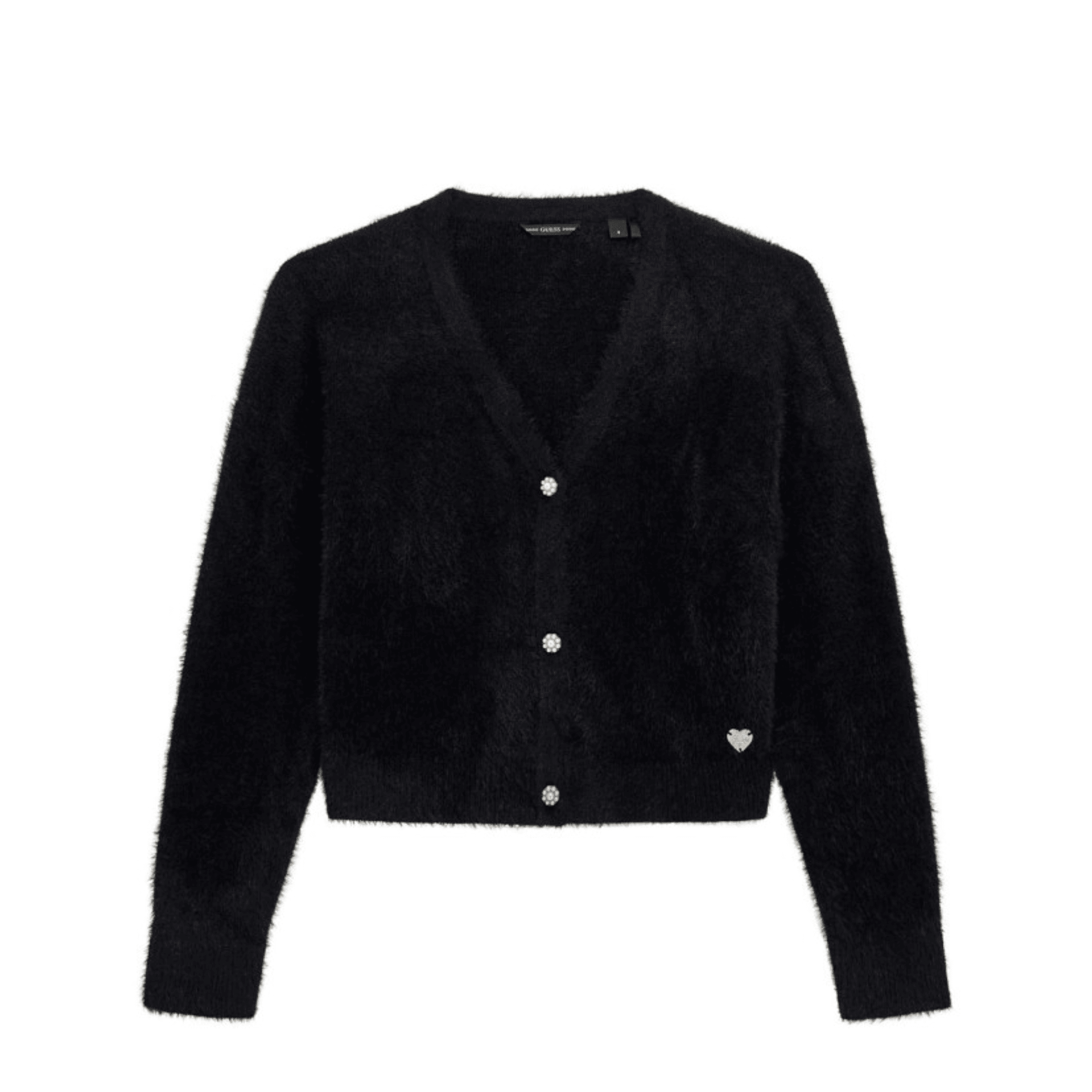 CARDIGAN GUESS